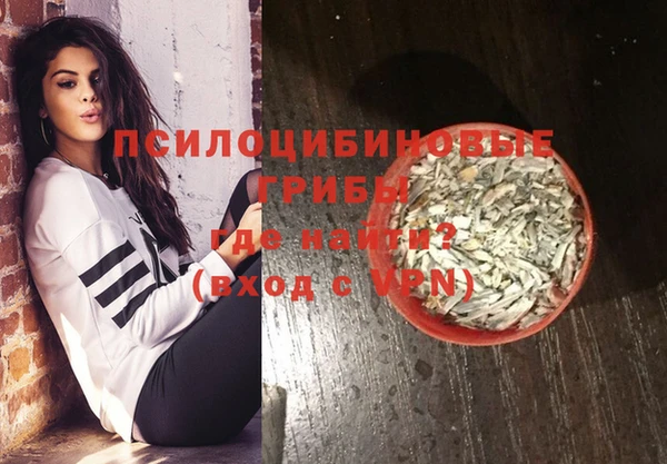 спиды Вяземский