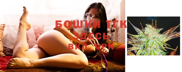 спиды Вяземский