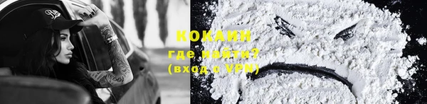спиды Вяземский