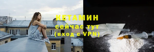 спиды Вяземский