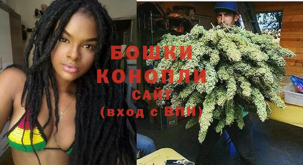 2c-b Горняк