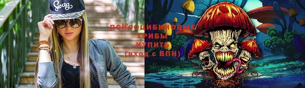 спиды Вяземский