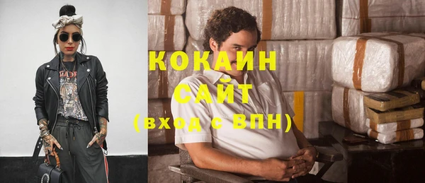 спиды Вяземский
