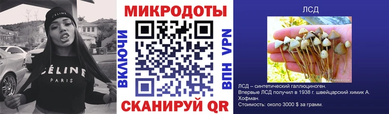 как найти закладки  Обнинск  Галлюциногенные грибы Psilocybe 